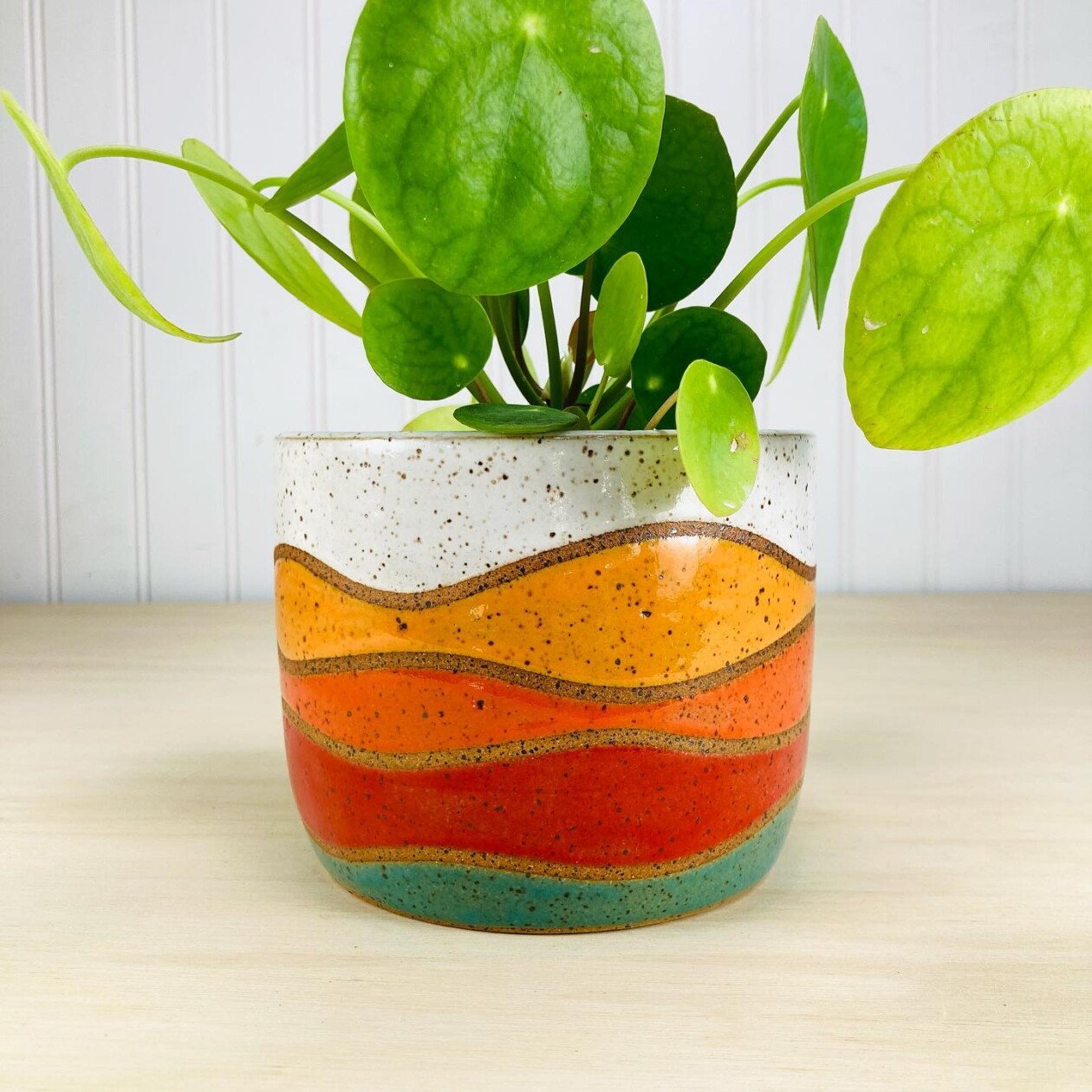 Colorful Ceramics By Liz Cohen (3)