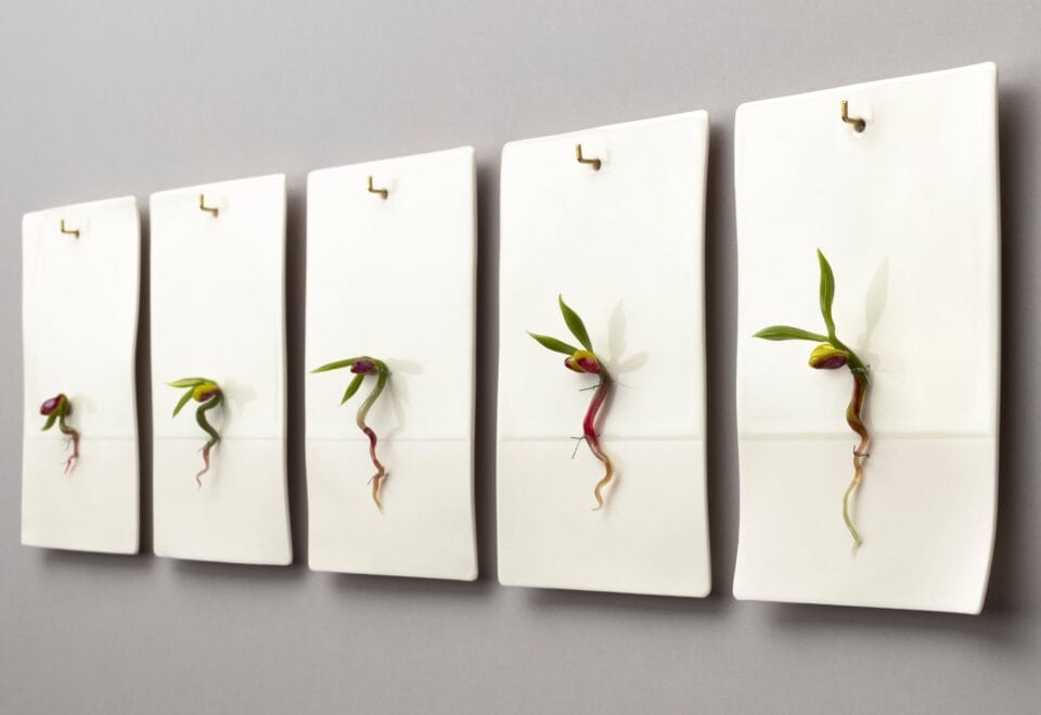 Delicate And Detailed Glass Sprouts By Nataliya Vladychko (8)