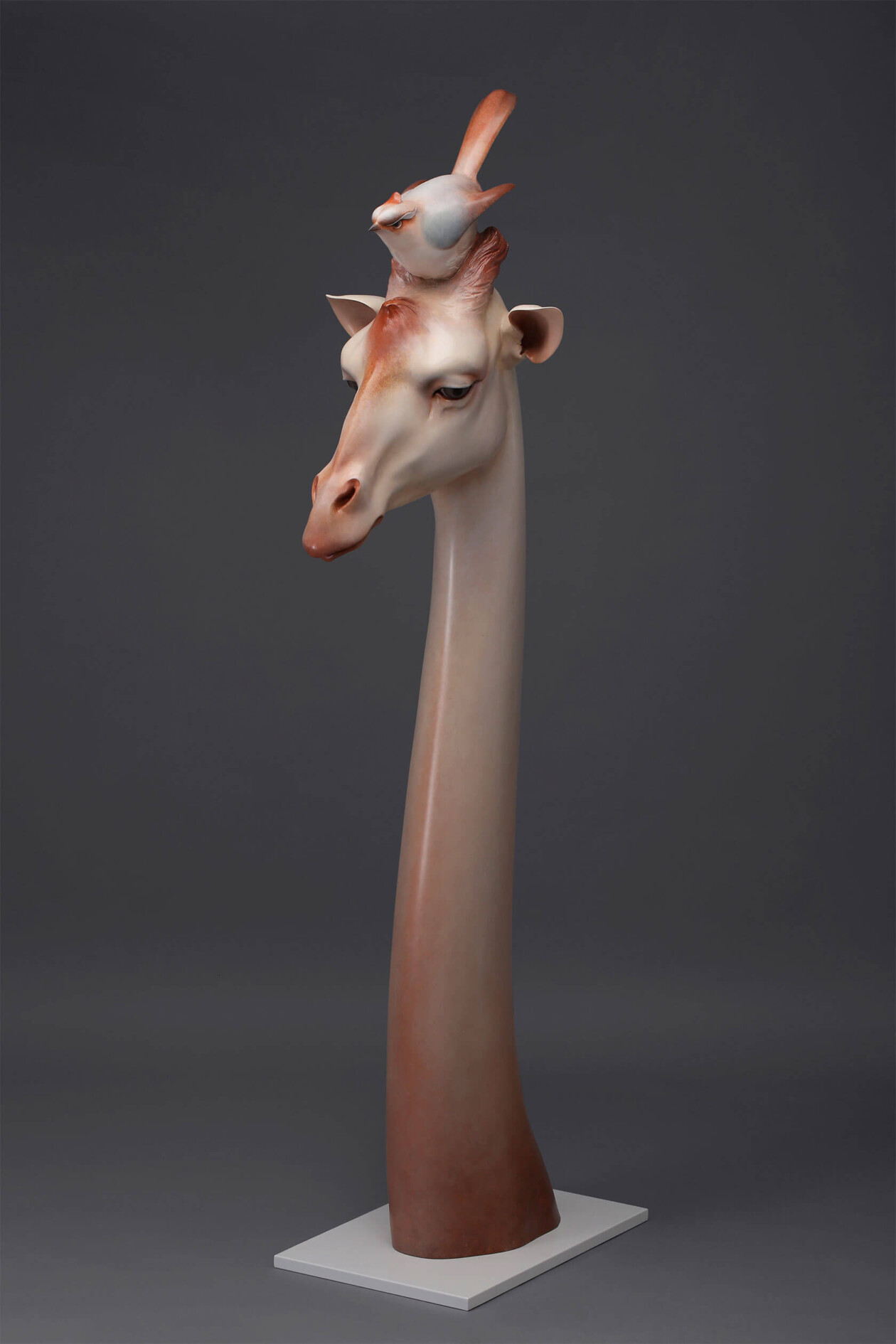 Formidable Animal Sculptures By Zhao Kai (9)