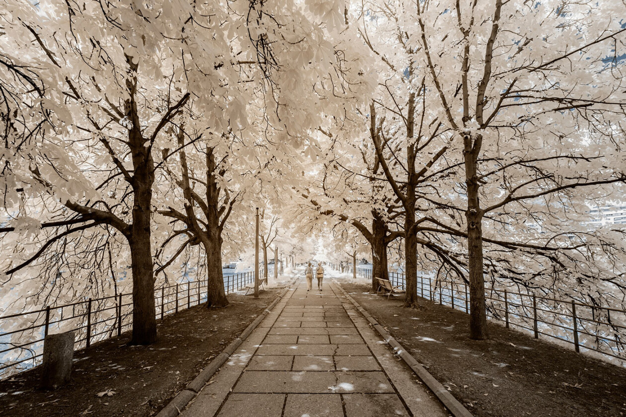 Invisible Paris, A Fantastic Infrared Photography Series By Pierre Louis Ferrer (3)