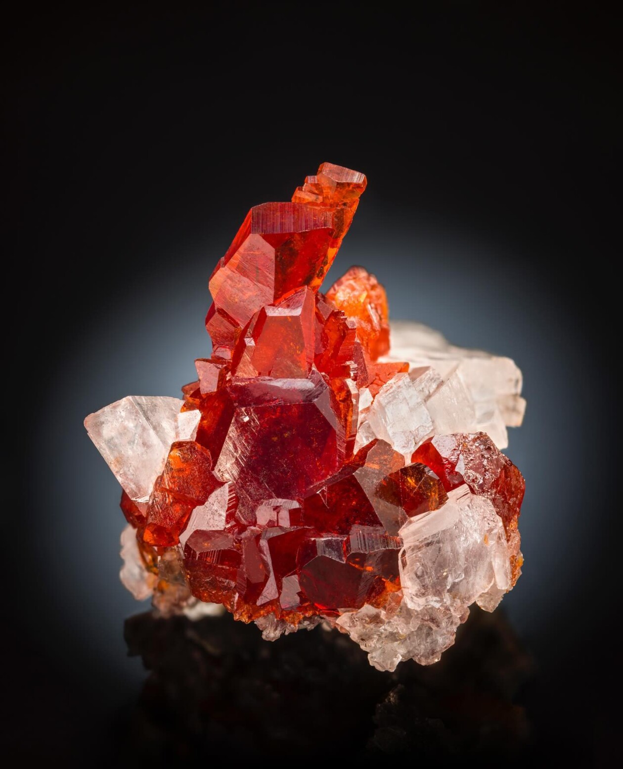 The Magnificent Mineral Photography Of Laszlo Kupi (12)