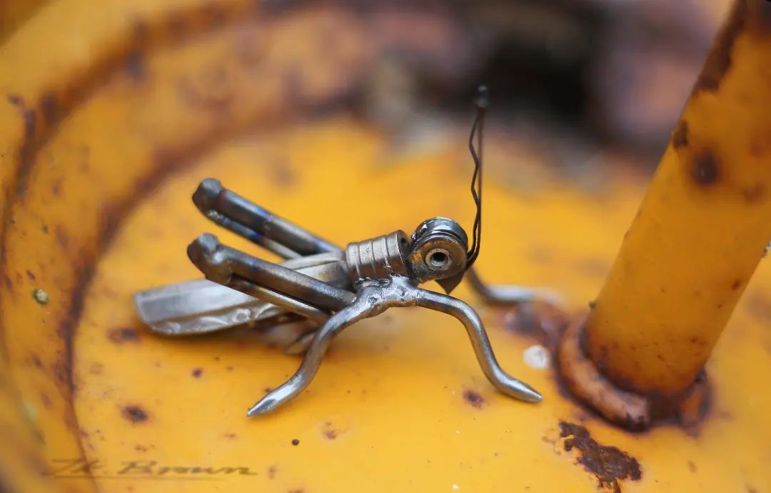 Amazingly Precise Scrap Metal Animal Sculptures By Jk Brown (1)