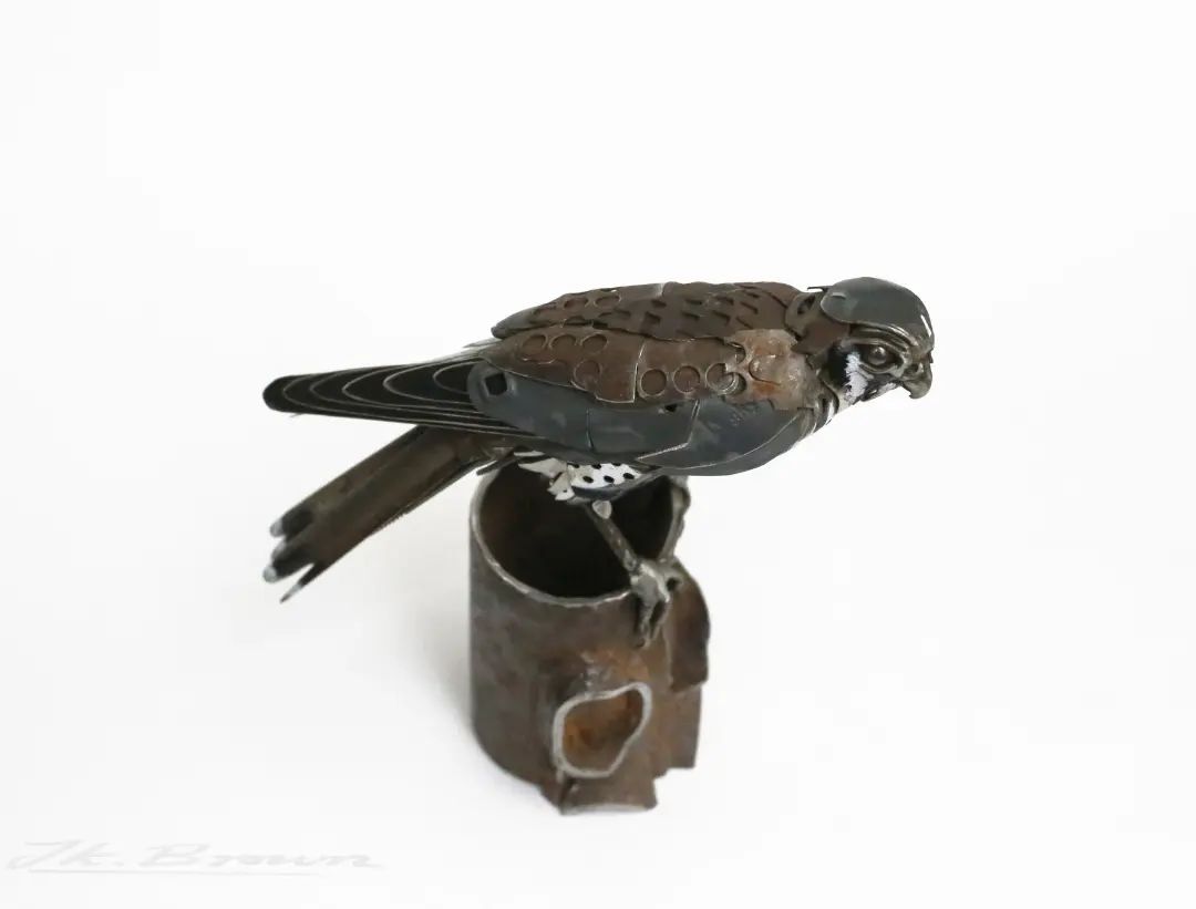Amazingly Precise Scrap Metal Animal Sculptures By Jk Brown (21)