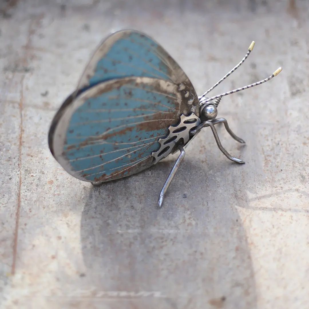 Amazingly Precise Scrap Metal Animal Sculptures By Jk Brown (8)