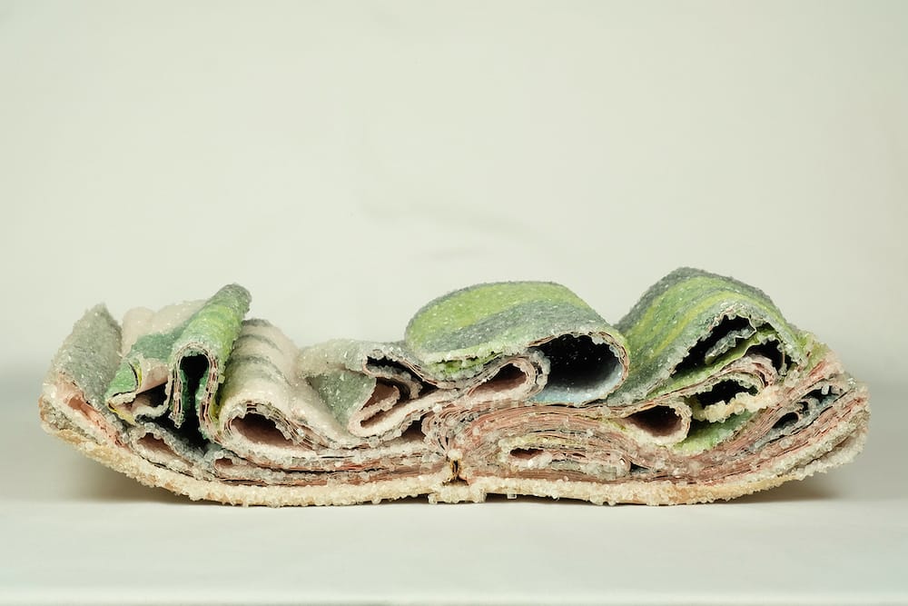 Crystallized Books, A Sculptures Series By Alexis Arnold (15)