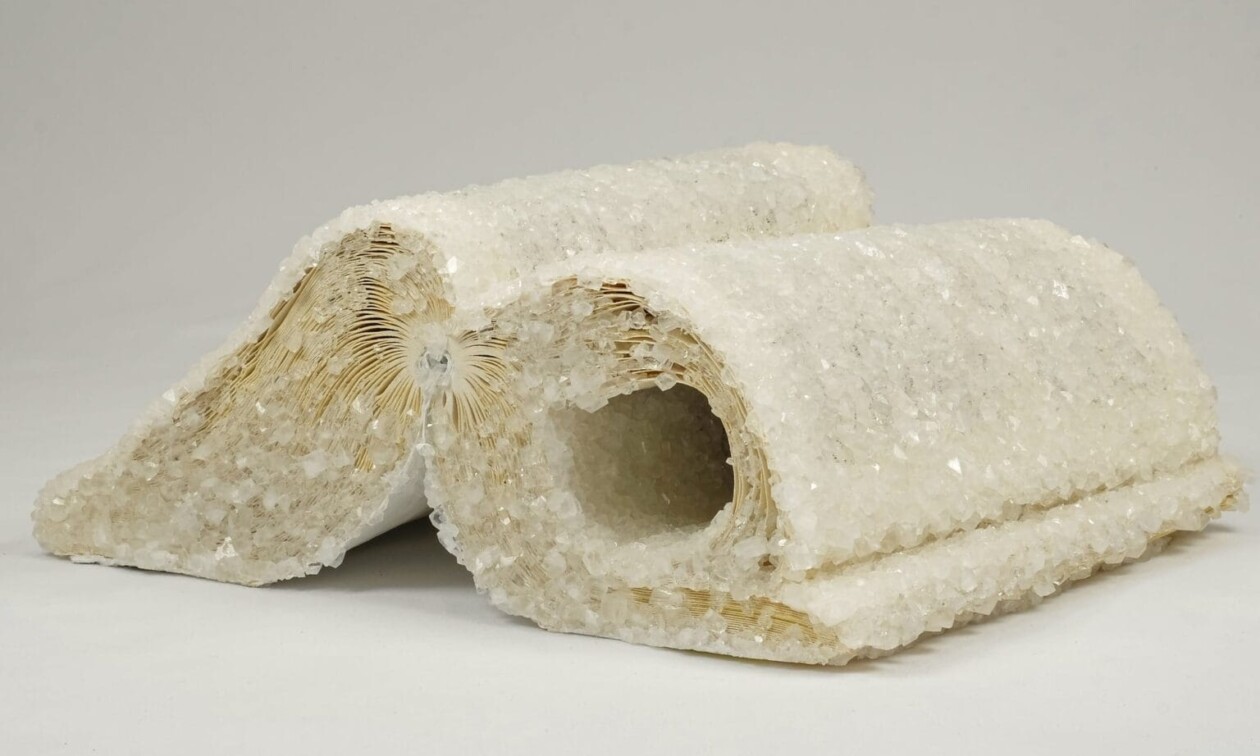 Crystallized Books, A Sculptures Series By Alexis Arnold (17)