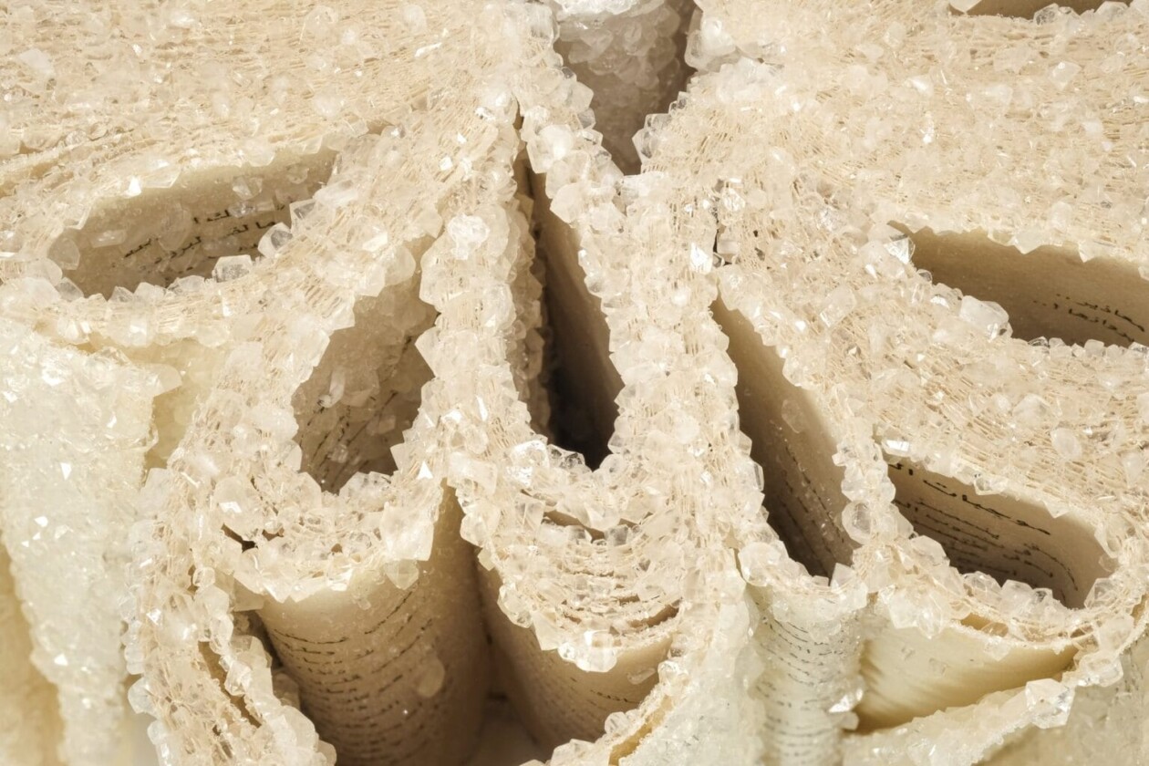 Crystallized Books, A Sculptures Series By Alexis Arnold (25)