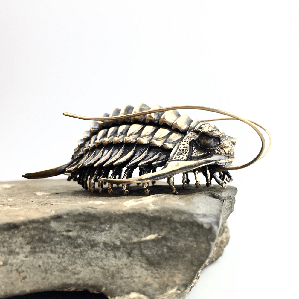 Detailed Metallic Replicas Of Ancient Fossils And Cells By Allan Drummond (1)