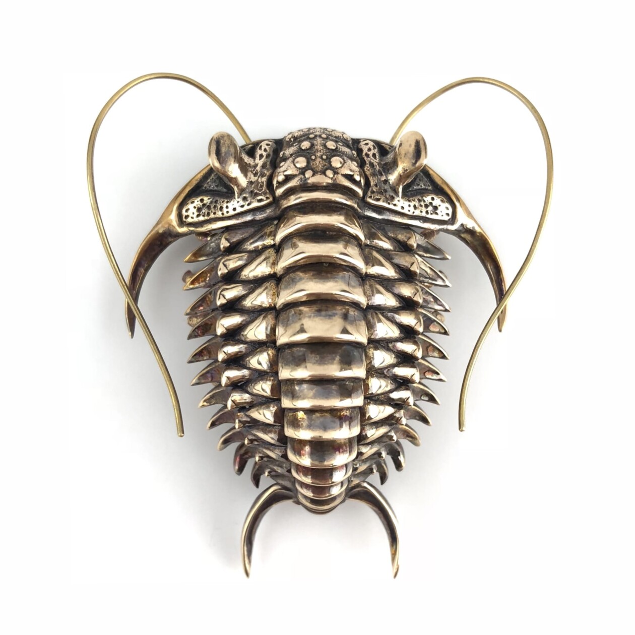 Detailed Metallic Replicas Of Ancient Fossils And Cells By Allan Drummond (2)