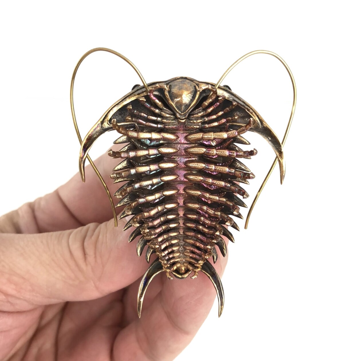 Detailed Metallic Replicas Of Ancient Fossils And Cells By Allan Drummond (4)