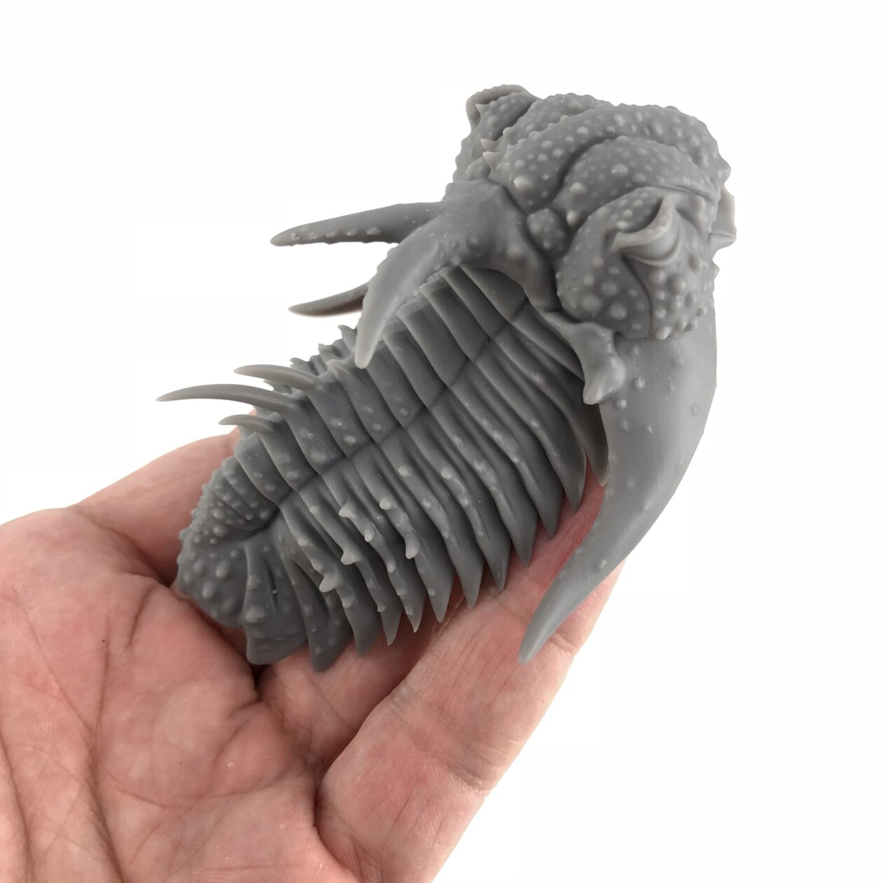 Detailed Metallic Replicas Of Ancient Fossils And Cells By Allan Drummond (5)