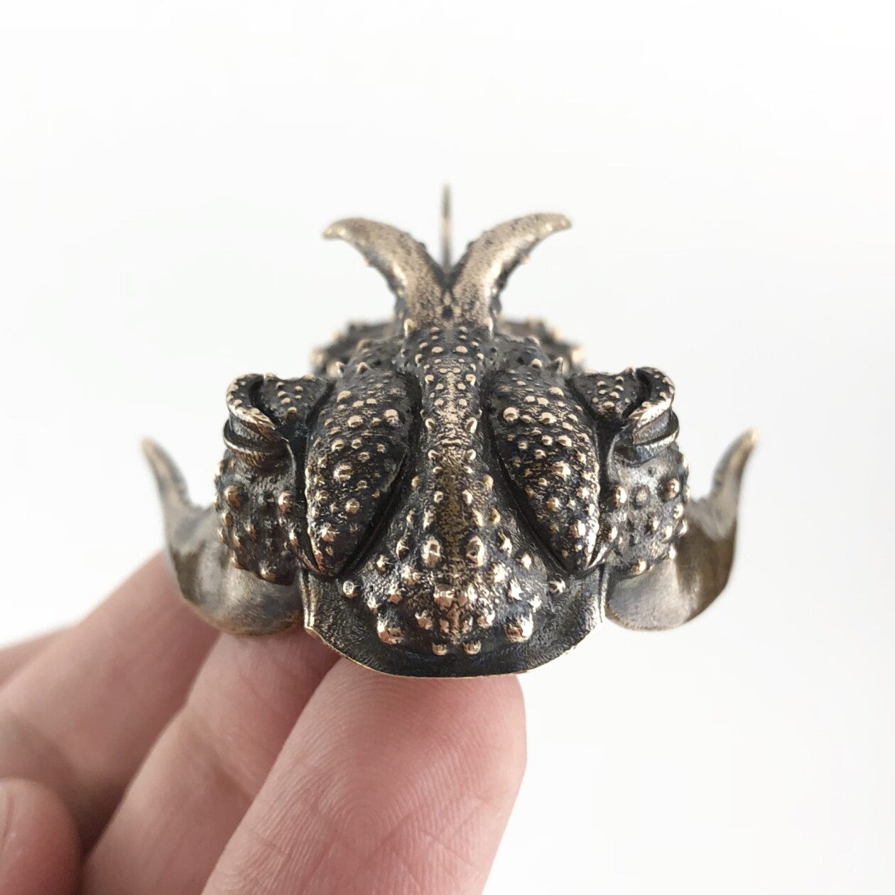 Detailed Metallic Replicas Of Ancient Fossils And Cells By Allan Drummond (6)