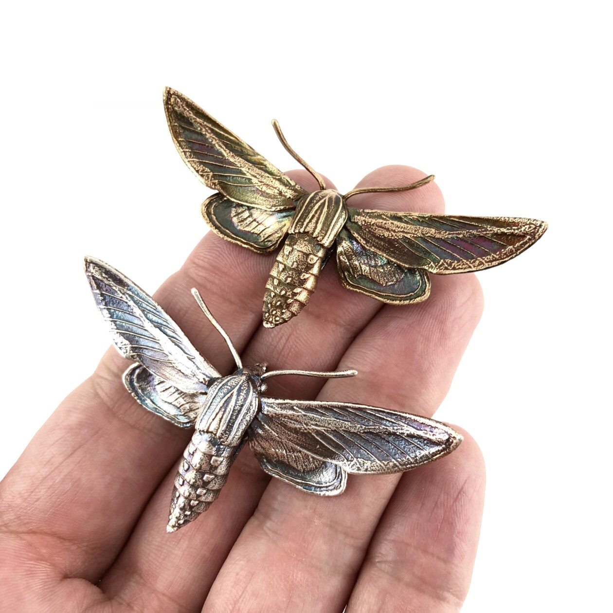 Detailed Metallic Replicas Of Ancient Fossils And Cells By Allan Drummond (8)