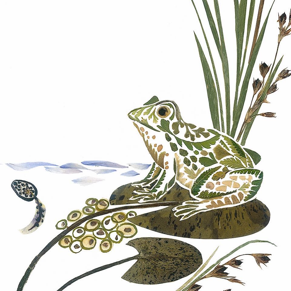 Illustrations Made Of Pressed Leaves And Flowers By Helen Ahpornsiri (1)