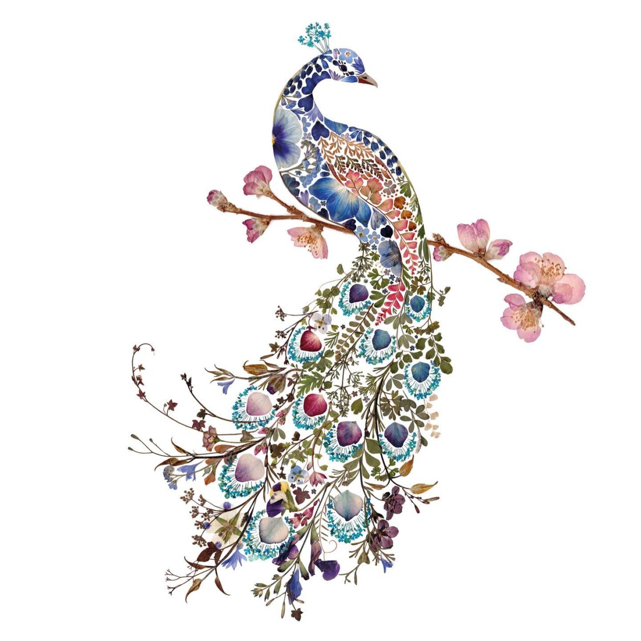 Illustrations Made Of Pressed Leaves And Flowers By Helen Ahpornsiri (11)