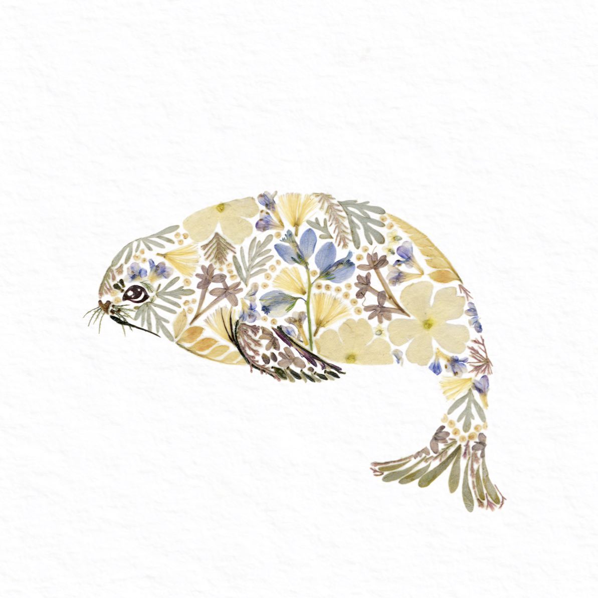 Illustrations Made Of Pressed Leaves And Flowers By Helen Ahpornsiri (17)