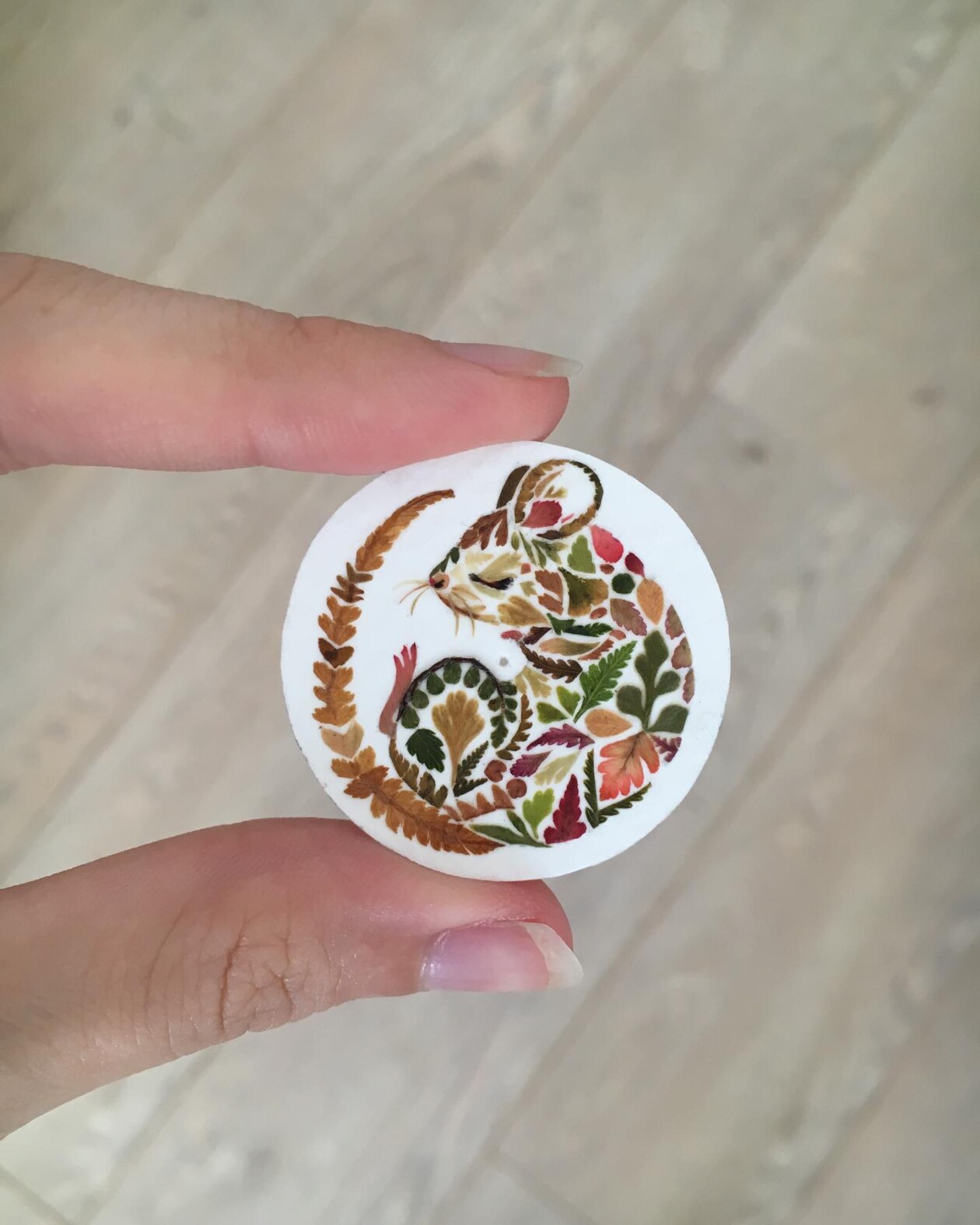 Illustrations Made Of Pressed Leaves And Flowers By Helen Ahpornsiri (20)