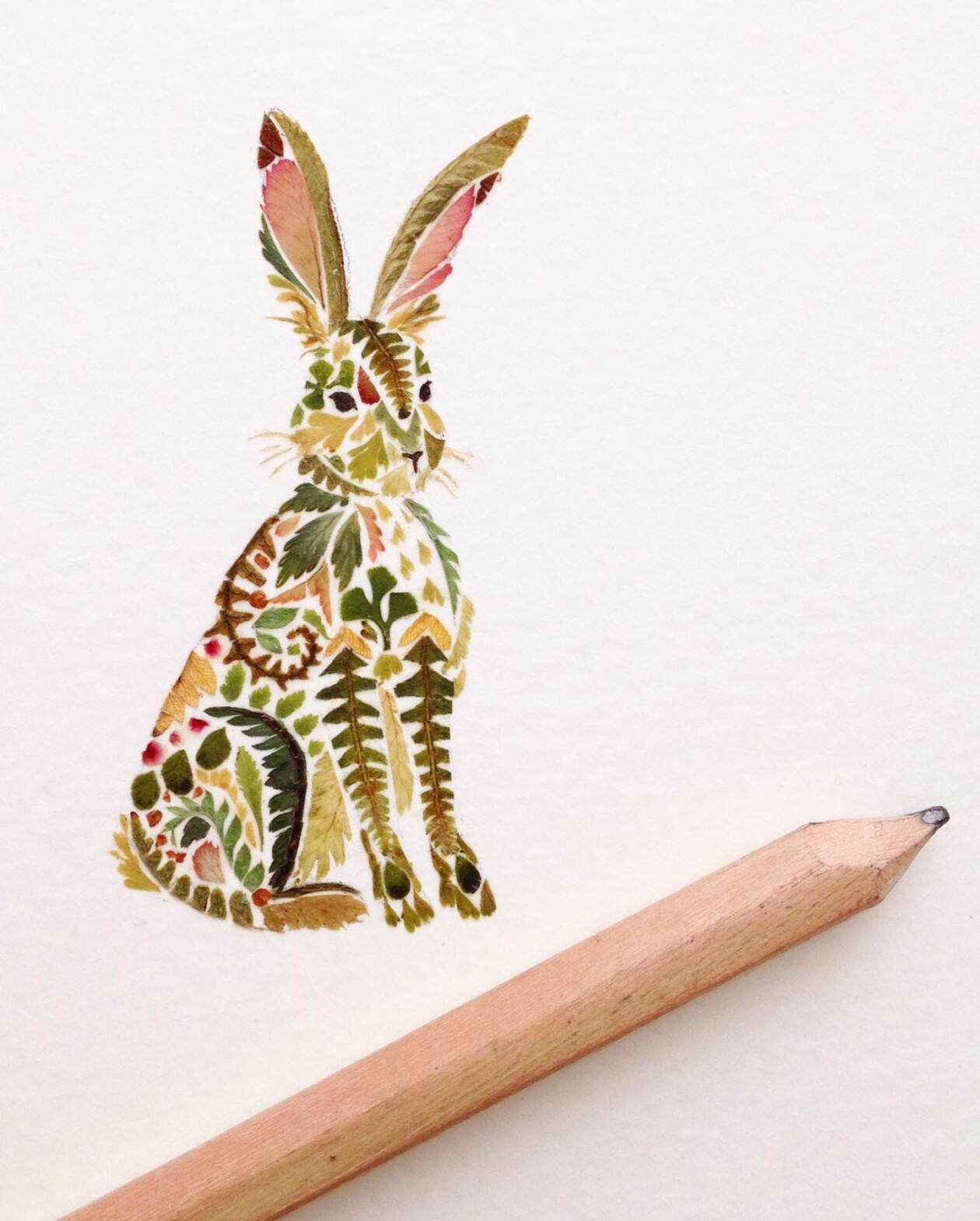 Illustrations Made Of Pressed Leaves And Flowers By Helen Ahpornsiri (21)