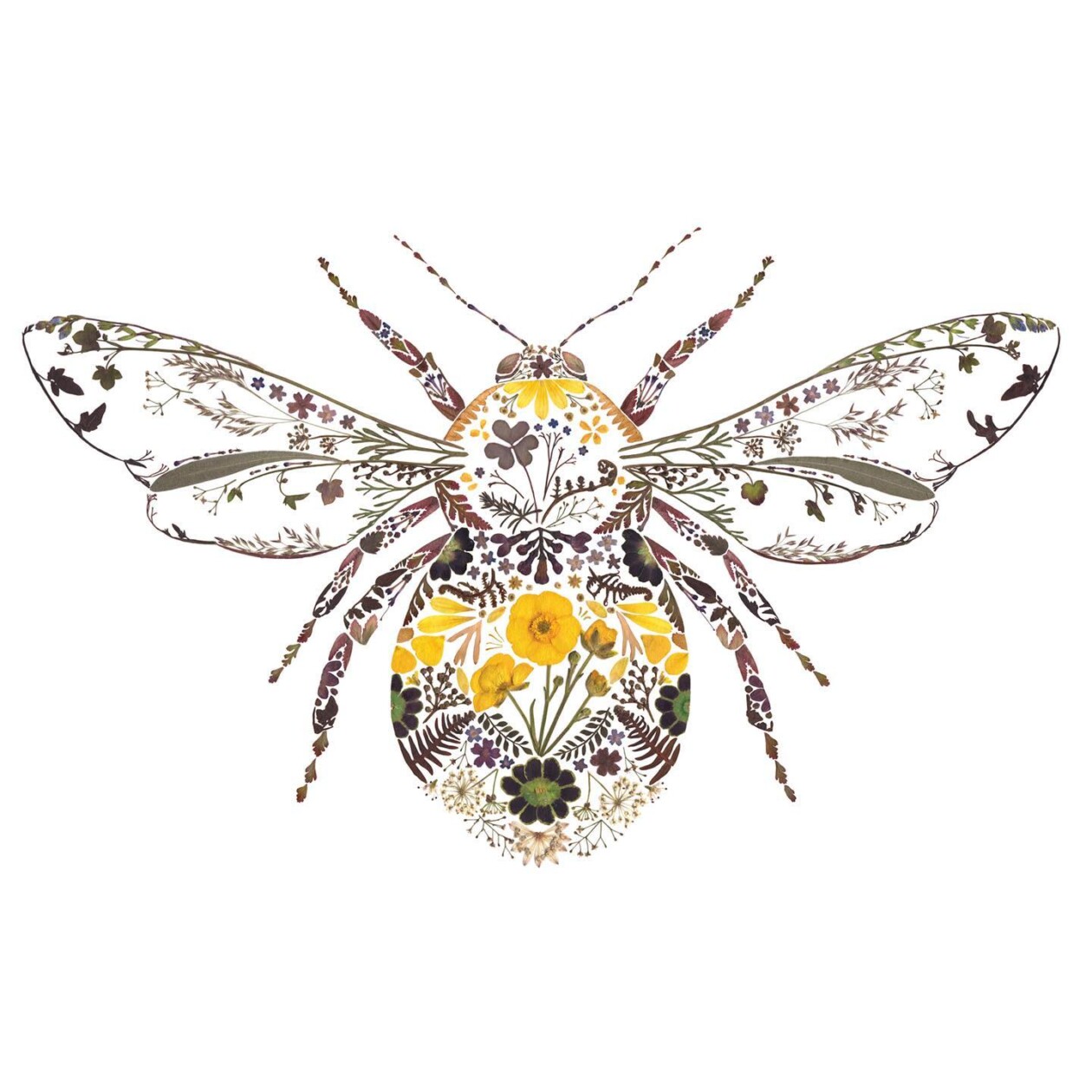 Illustrations Made Of Pressed Leaves And Flowers By Helen Ahpornsiri (8)