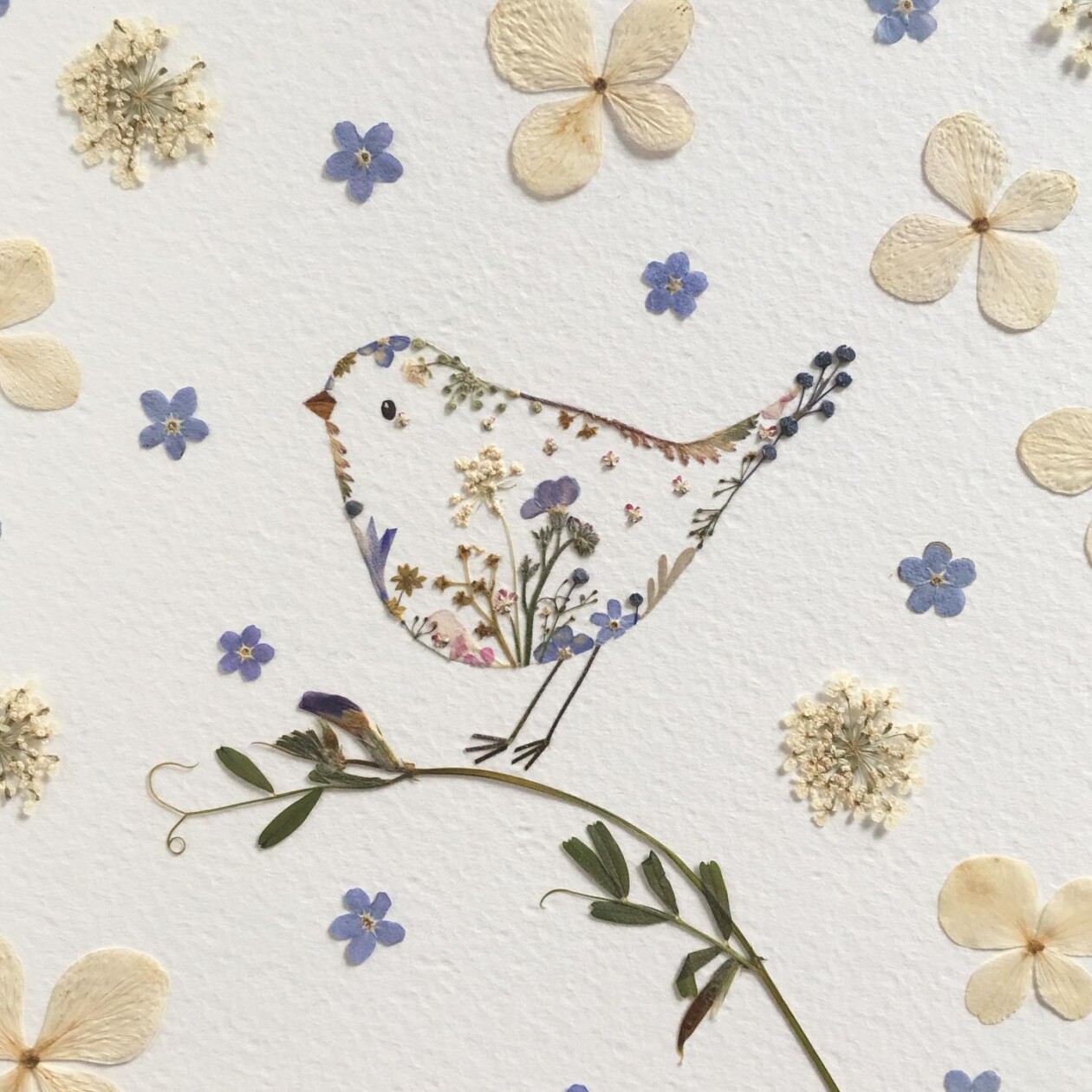 Illustrations Made Of Pressed Leaves And Flowers By Helen Ahpornsiri (9)