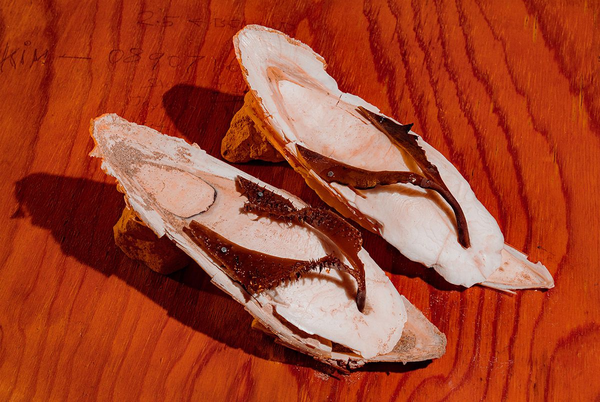 Semaphore, A Photography Series By Emmaline Zanelli (3)