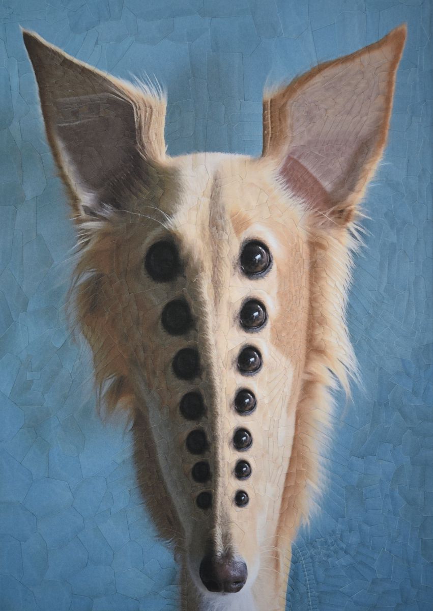 The Strangely Distorted Pet And People Collages Of Lola Dupre (11)