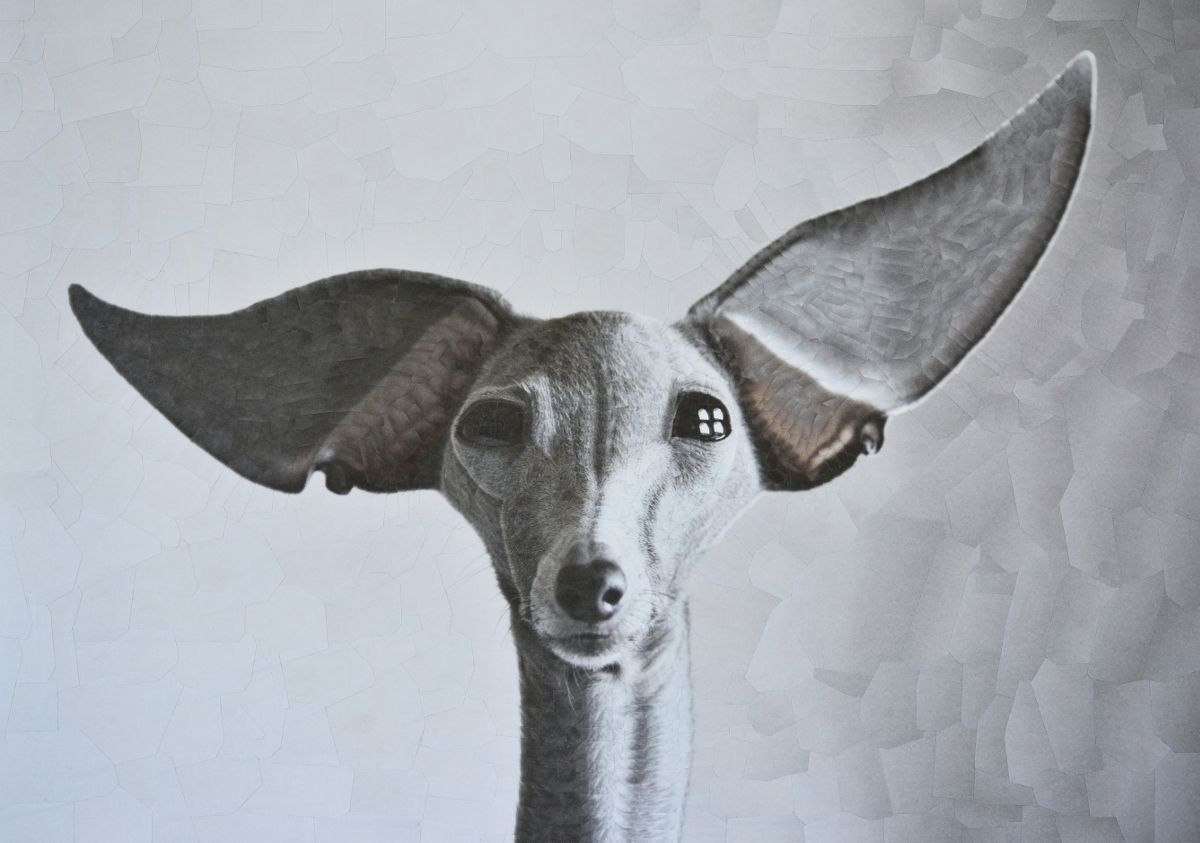 The Strangely Distorted Pet And People Collages Of Lola Dupre (12)