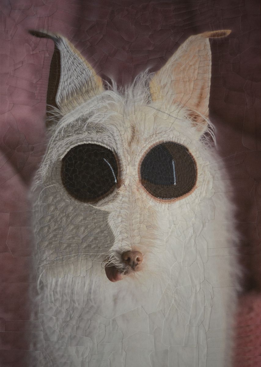 The Strangely Distorted Pet And People Collages Of Lola Dupre (15)