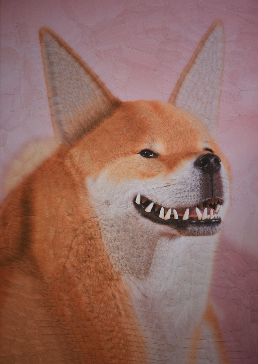 The Strangely Distorted Pet And People Collages Of Lola Dupre (16)