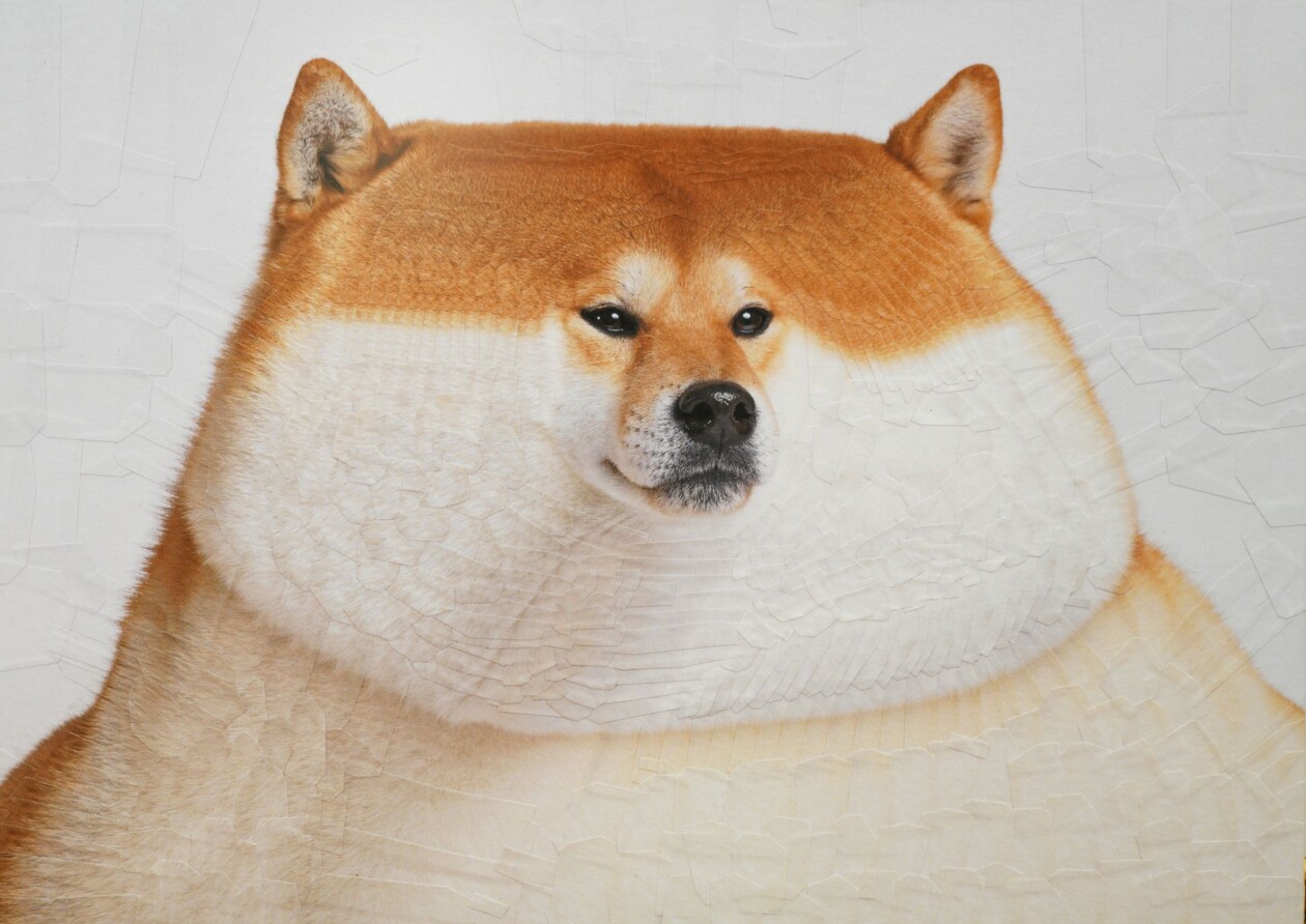 The Strangely Distorted Pet And People Collages Of Lola Dupre (19)