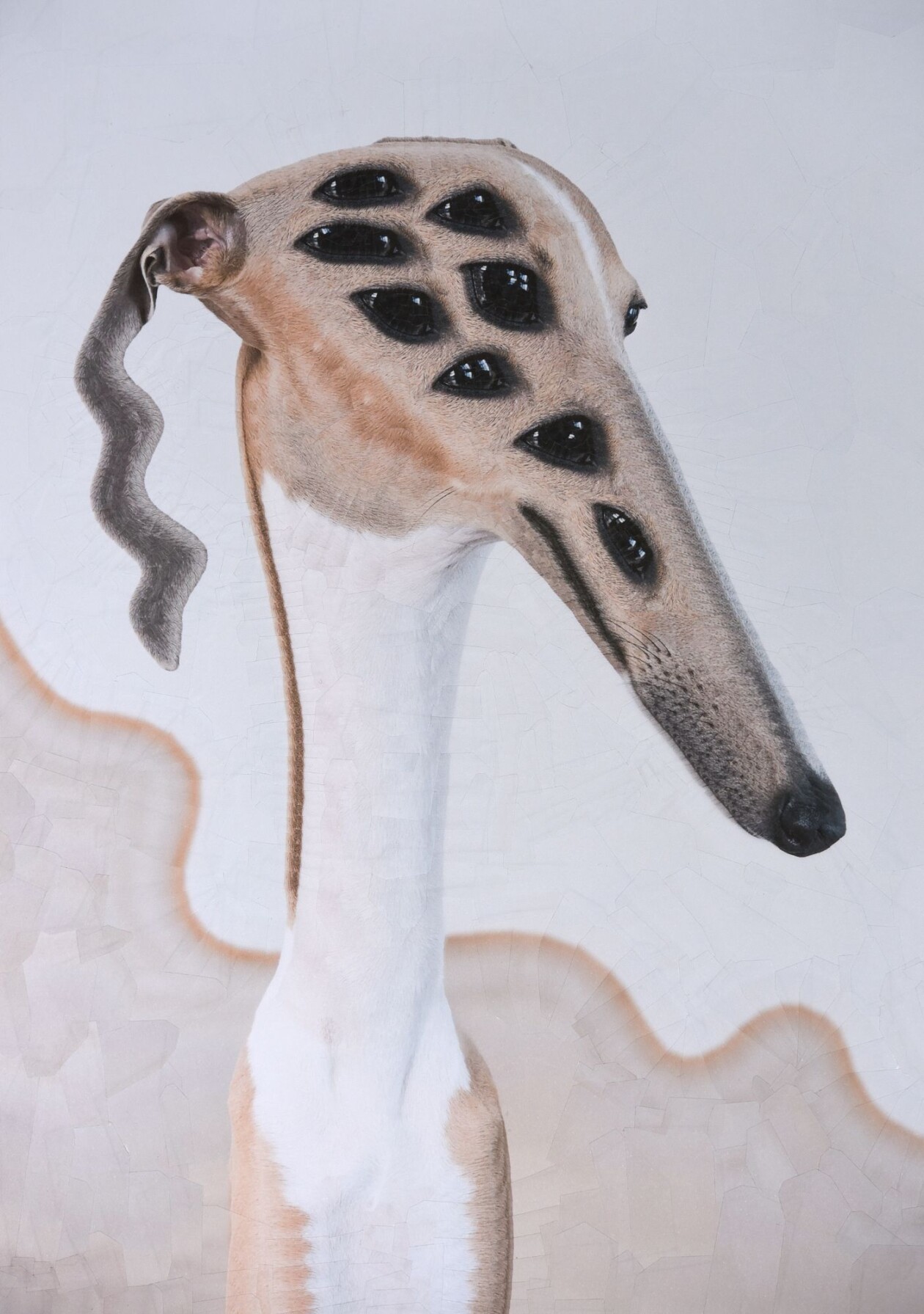 The Strangely Distorted Pet And People Collages Of Lola Dupre (20)