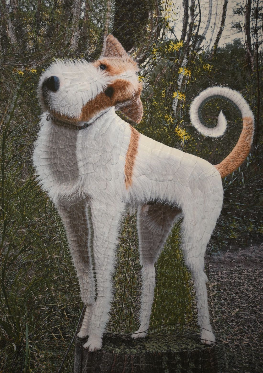 The Strangely Distorted Pet And People Collages Of Lola Dupre (23)