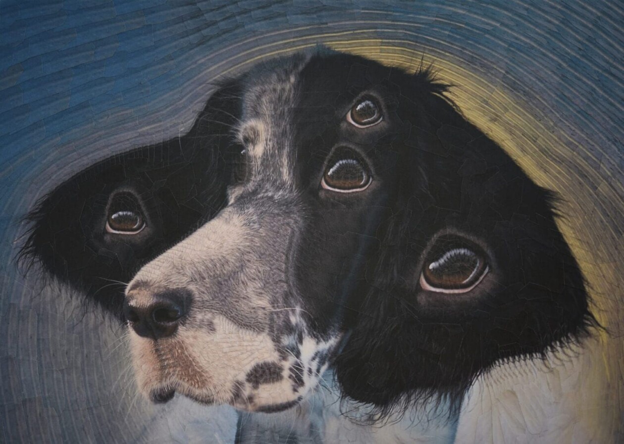 The Strangely Distorted Pet And People Collages Of Lola Dupre (24)