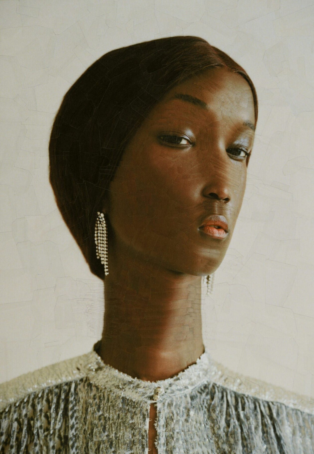 The Strangely Distorted Pet And People Collages Of Lola Dupre (25)