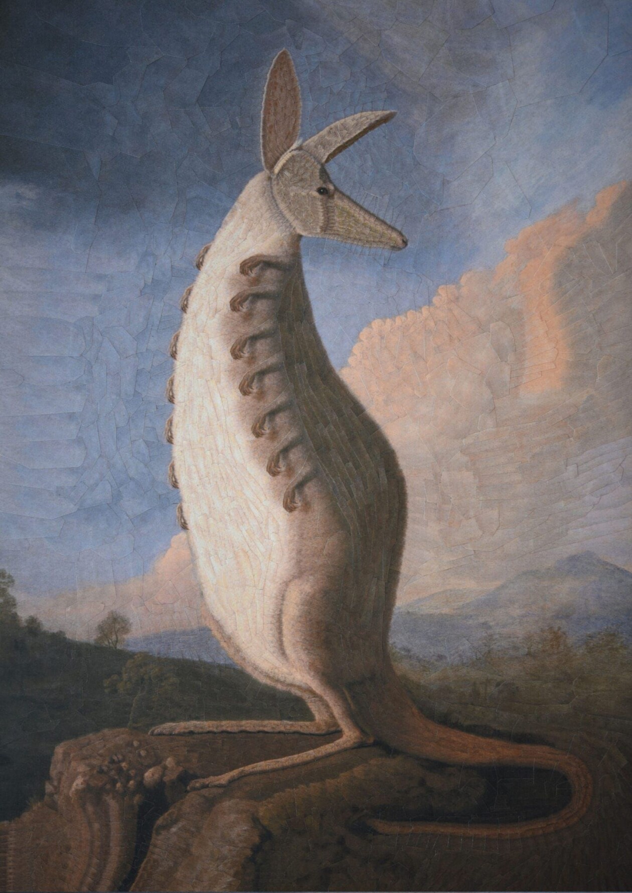 The Strangely Distorted Pet And People Collages Of Lola Dupre (26)