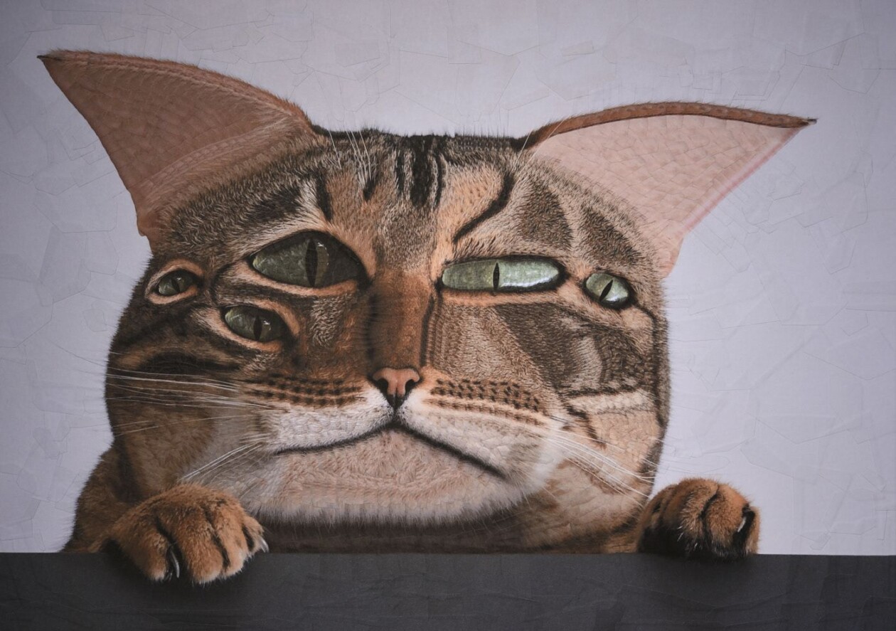 The Strangely Distorted Pet And People Collages Of Lola Dupre (27)