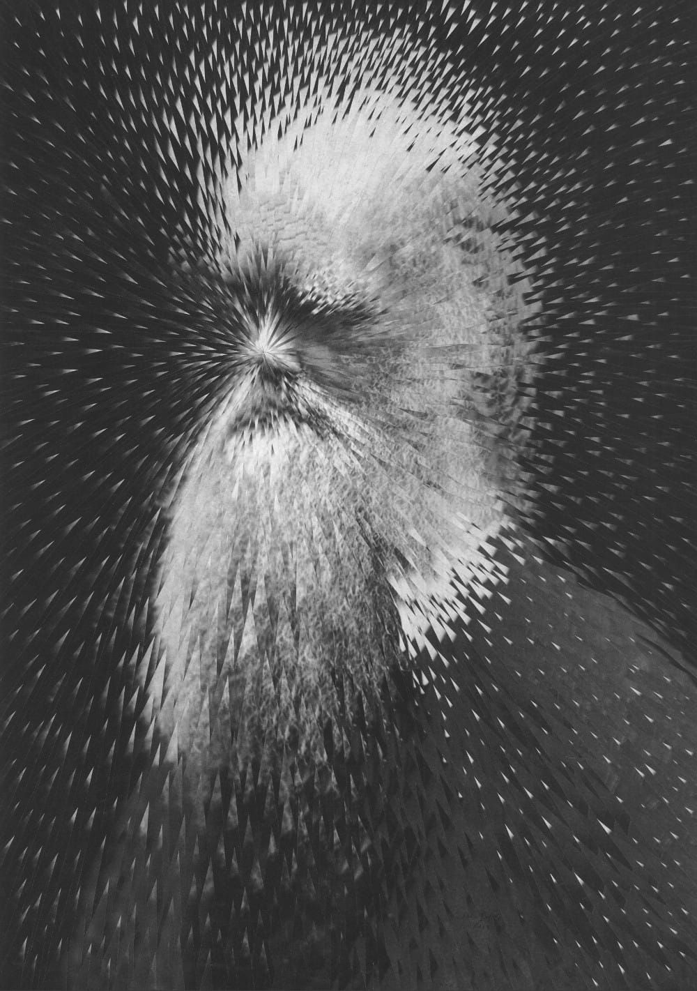 The Strangely Distorted Pet And People Collages Of Lola Dupre (29)