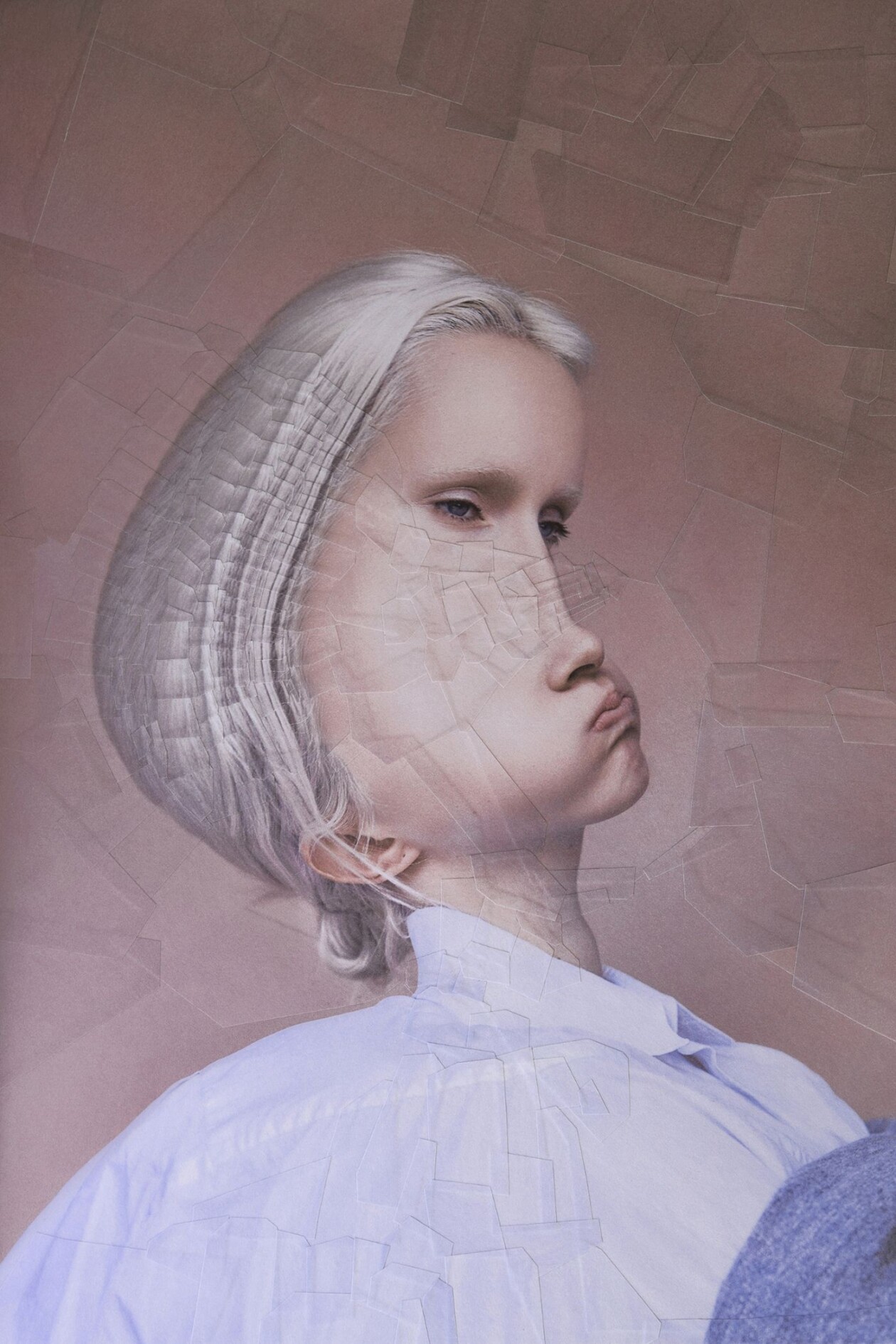 The Strangely Distorted Pet And People Collages Of Lola Dupre (3)