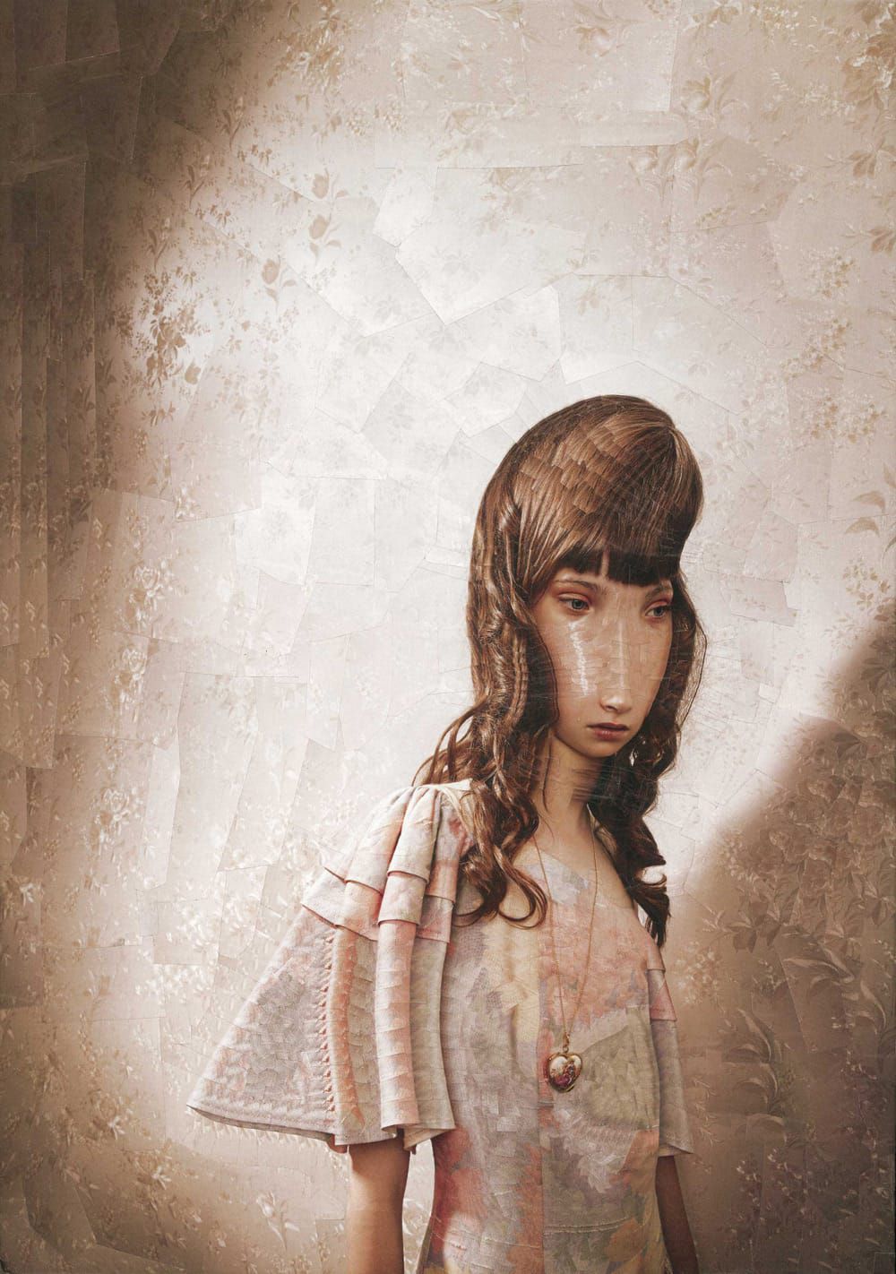 The Strangely Distorted Pet And People Collages Of Lola Dupre (34)