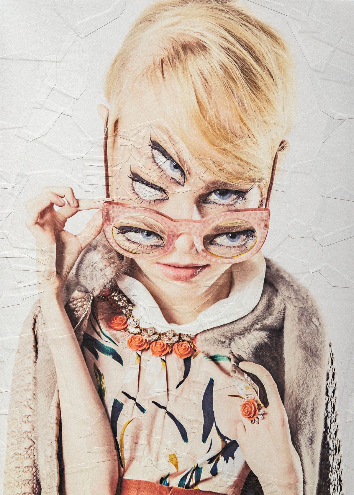 The Strangely Distorted Pet And People Collages Of Lola Dupre (7)