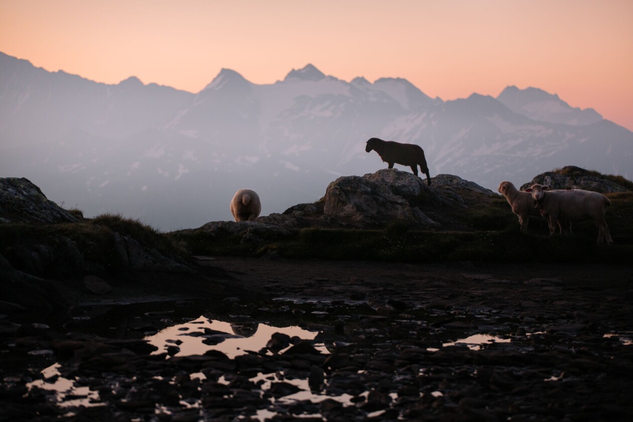 A Lovely Encounter, An Awe Inspiring Photography Series By Ulm, Germany Based Artist Florian Wenzel (4)