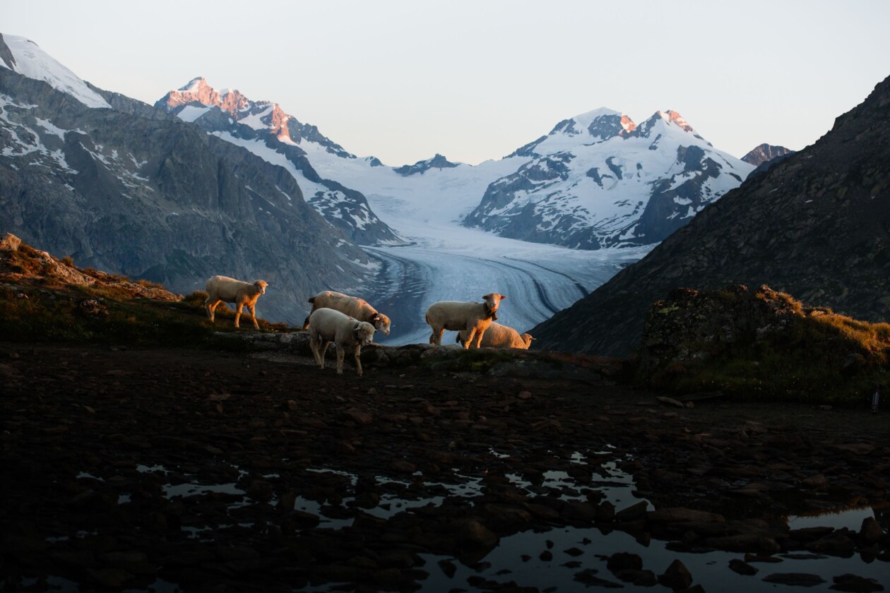A Lovely Encounter, An Awe Inspiring Photography Series By Ulm, Germany Based Artist Florian Wenzel (6)