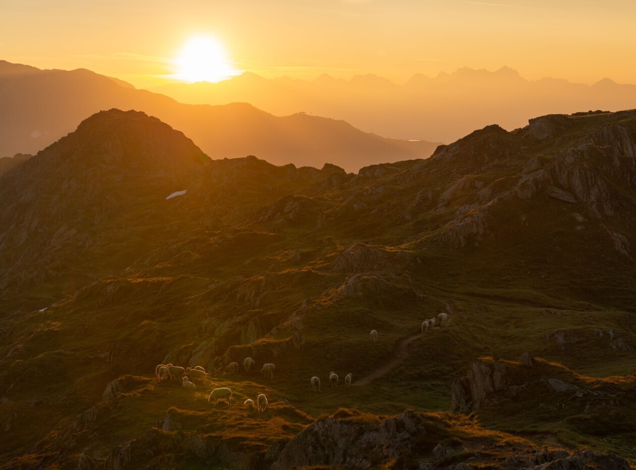 A Lovely Encounter, An Awe Inspiring Photography Series By Ulm, Germany Based Artist Florian Wenzel (8)