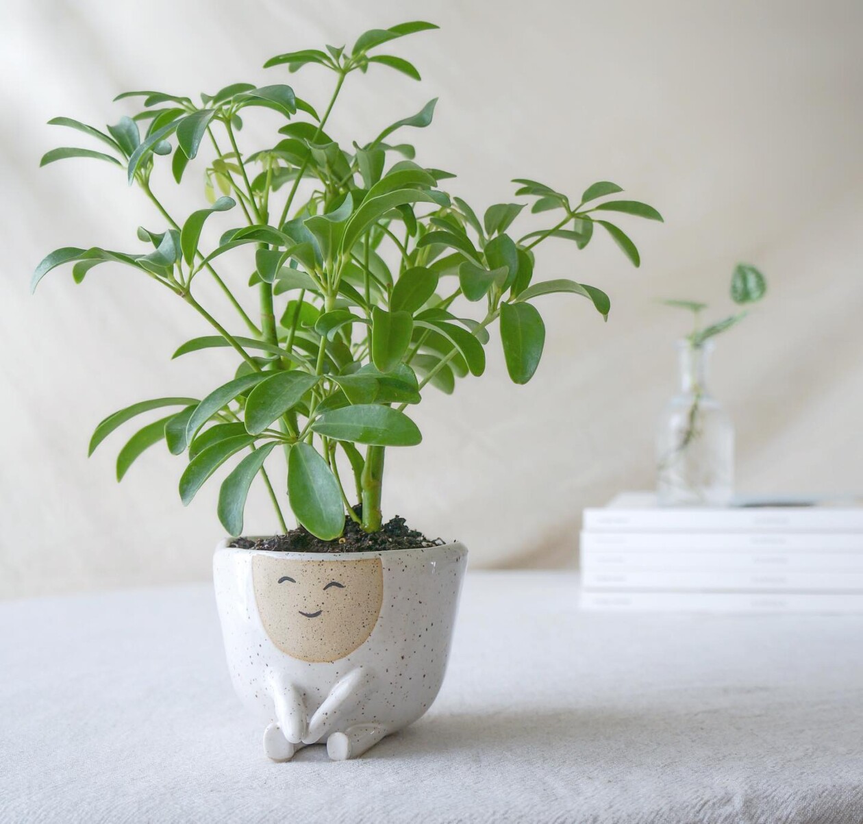 Amusing And Adorable Anthropomorphic Planters By Abby Ozaltug (17)