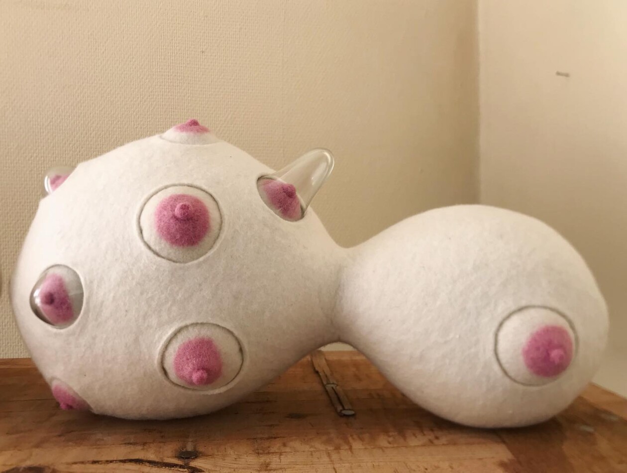 Anatomical Sculptures Made From Zippers, Quilted Fabric, And Felt By Élodie Antoine (12)