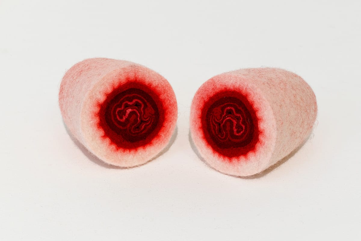 Anatomical Sculptures Made From Zippers, Quilted Fabric, And Felt By Élodie Antoine (3)