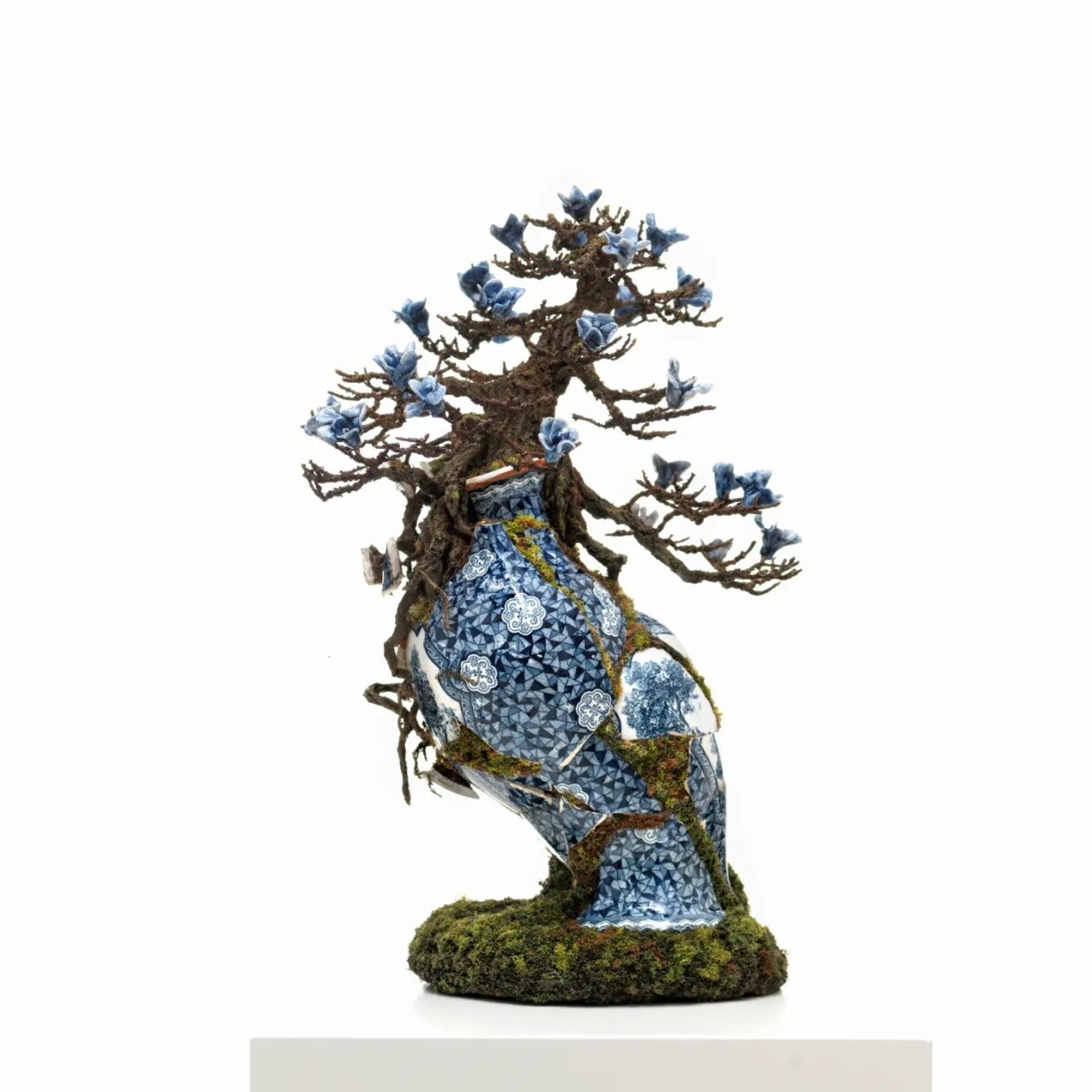 Bonsai Tree Sculptures Beautifully Bursting Through Broken Porcelain Vessels In Patrick Bergsma's Artworks (15)