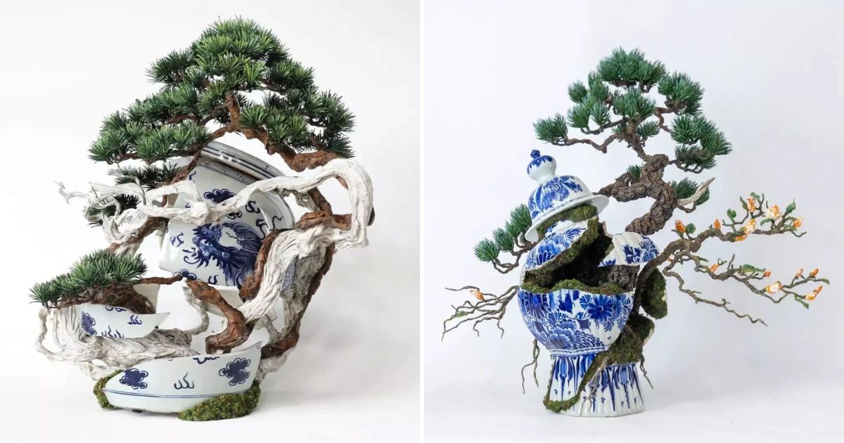 Patrick Bergsma: bonsai through broken porcelain vessels