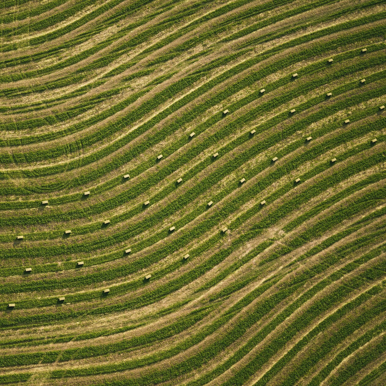 Eastern Washington, An Awe Inspiring Aerial Photography Series By Mitchell Rouse (12)