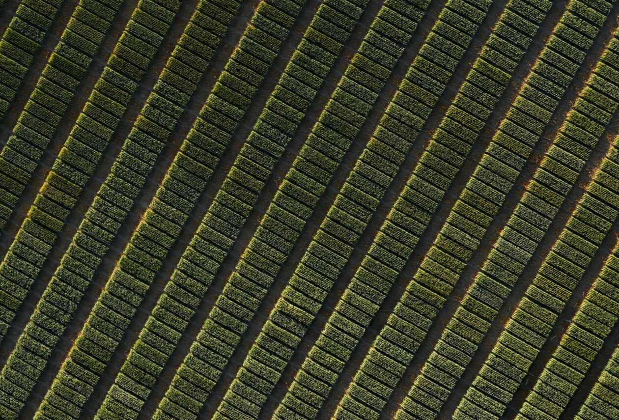 Eastern Washington, An Awe Inspiring Aerial Photography Series By Mitchell Rouse (3)